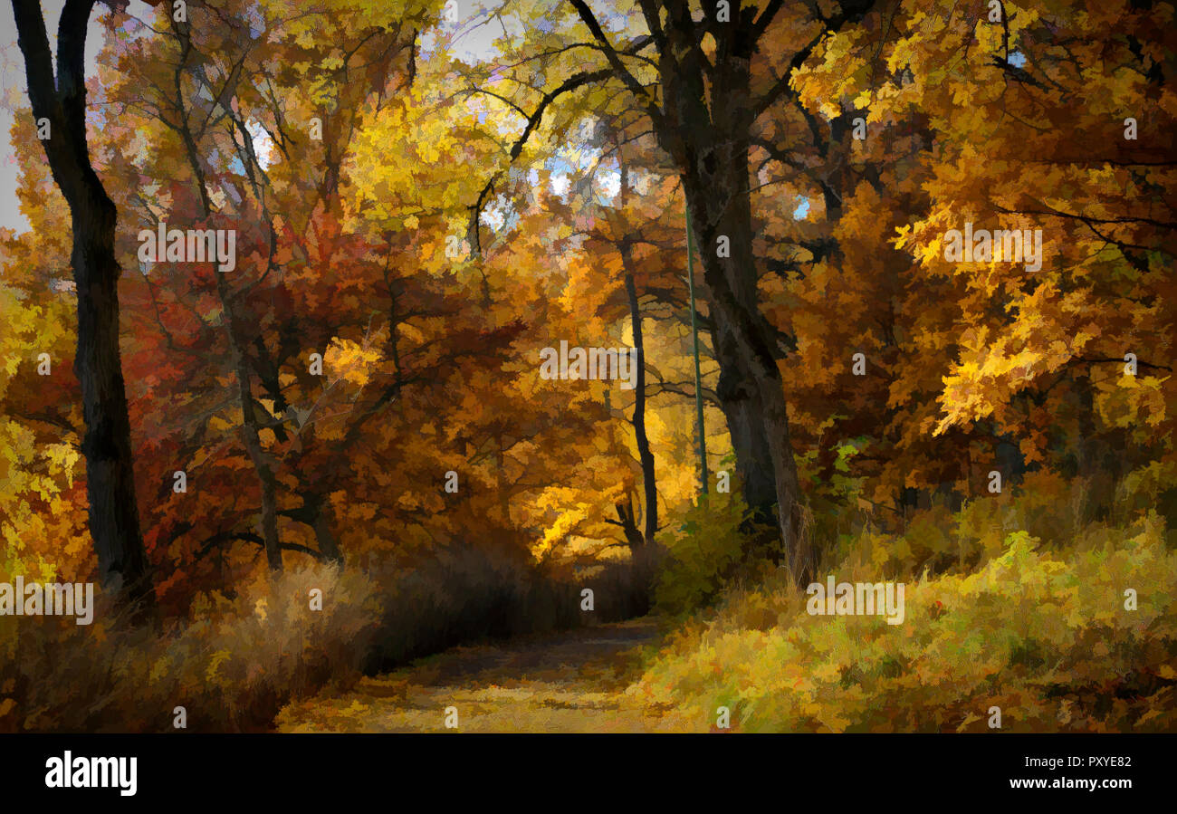 Bright sunny day park hi-res stock photography and images - Alamy