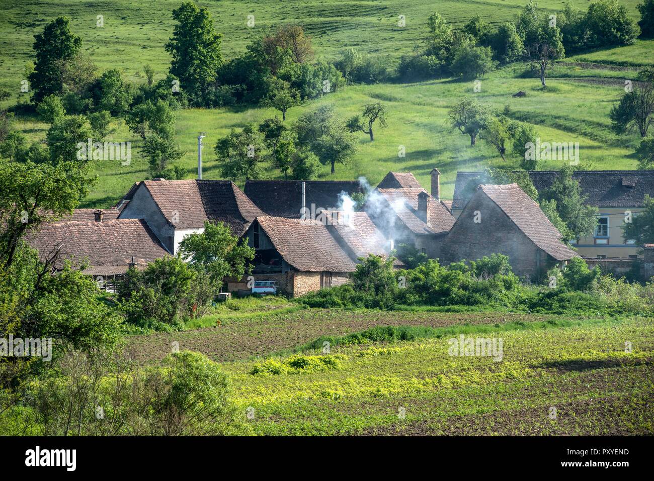 ROMANIA, VISCRI. The remote viliage, founded by Transylvanian Saxons in the 12. century has preserved his traditional charme till today and is  a UNES Stock Photo