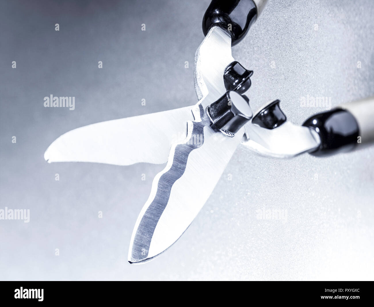 Gartenschere Stock Photo