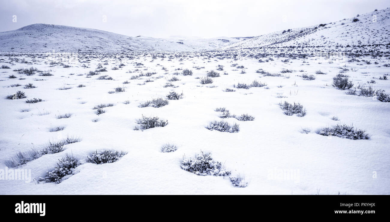 Verschneite, weite Landschaft Stock Photo