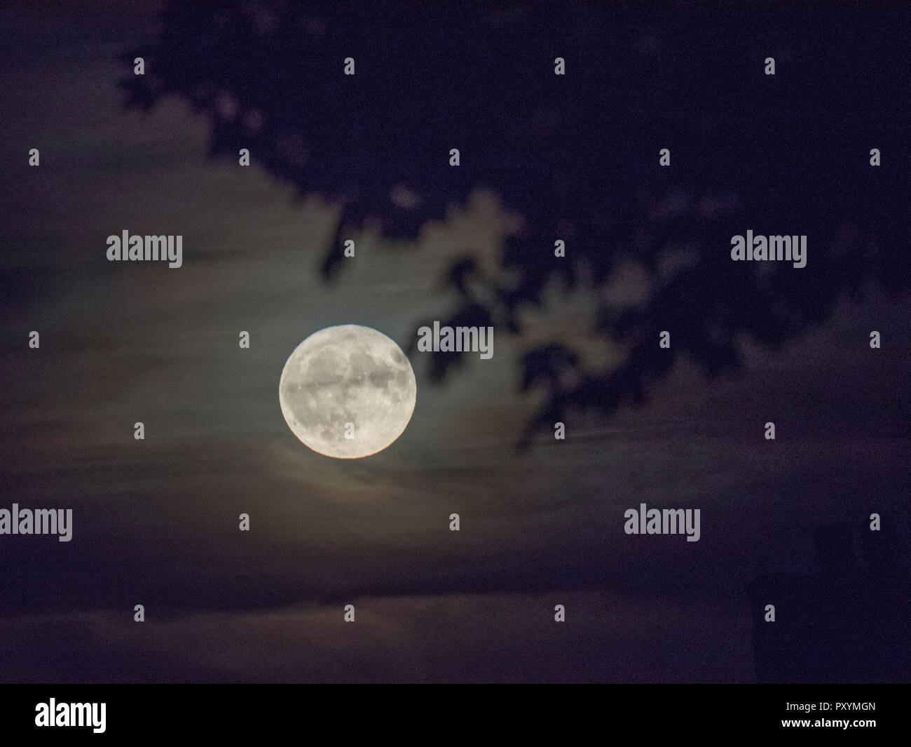 Queenborough, Kent, UK. 24th Oct, 2018. UK Weather: the full Hunter's Moon rising in Queenborough, Kent. Credit: James Bell/Alamy Live News Stock Photo