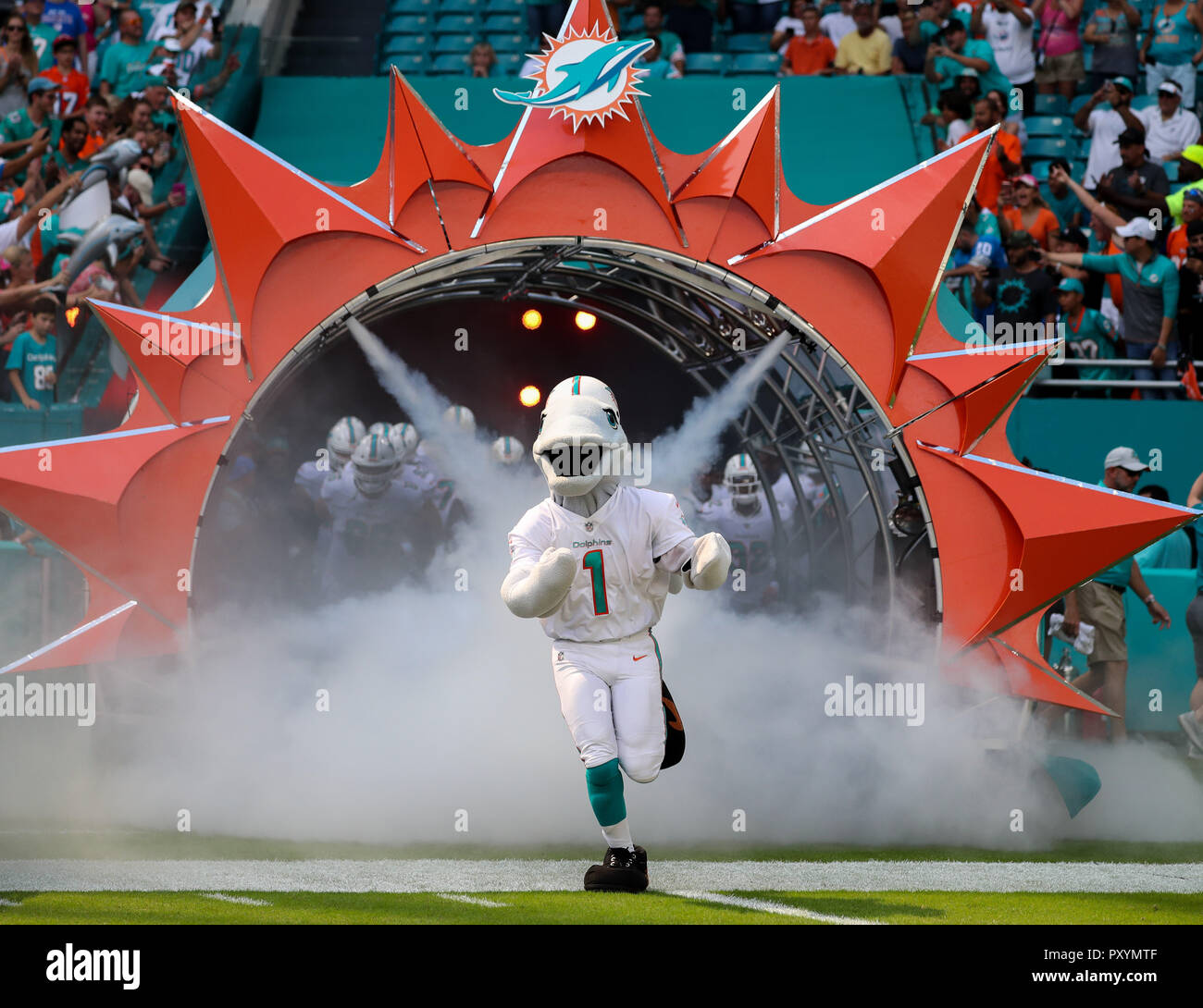 Miami dolphins mascot hi-res stock photography and images - Alamy