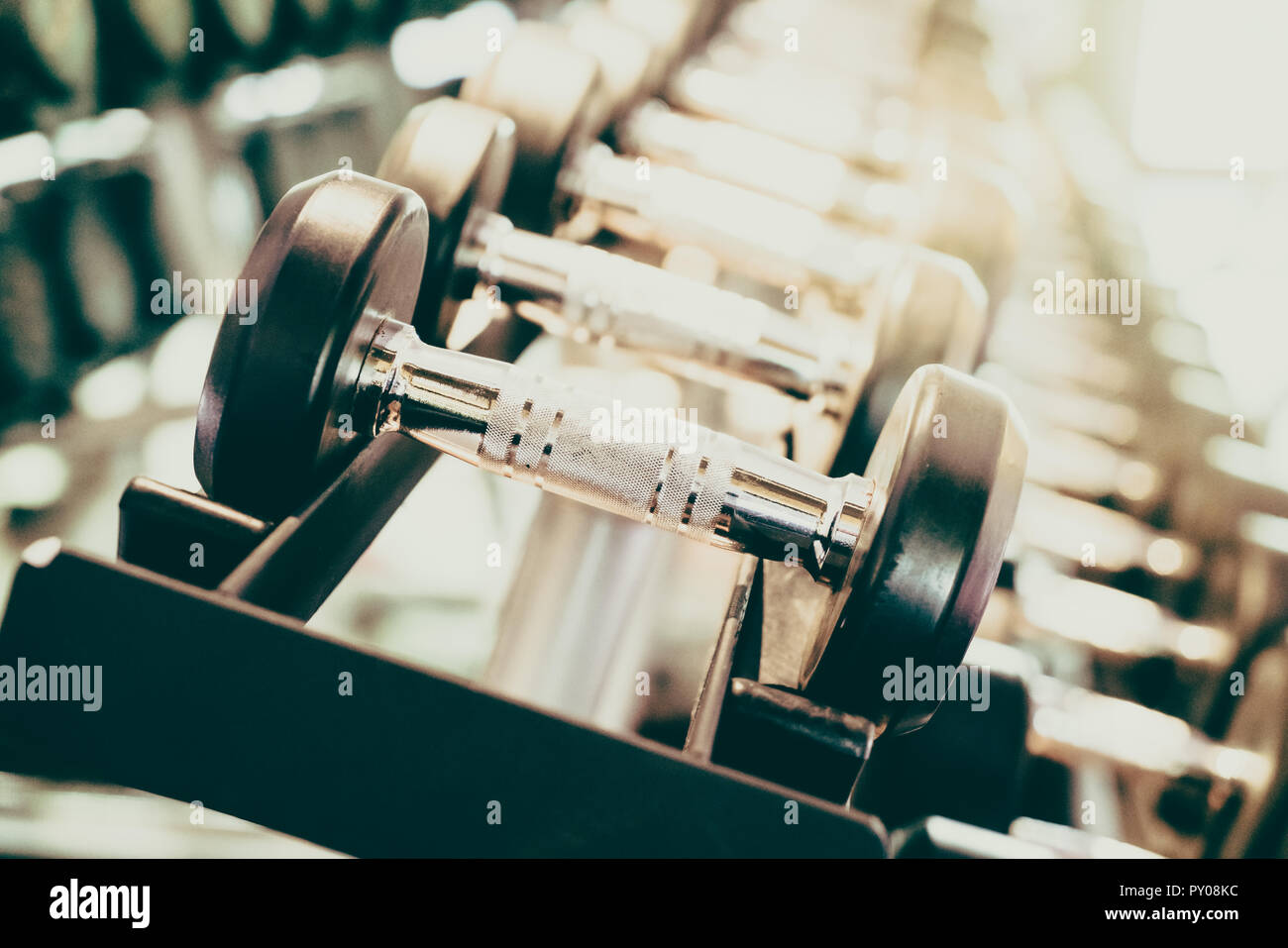 Focus fitness dumbbell hotsell