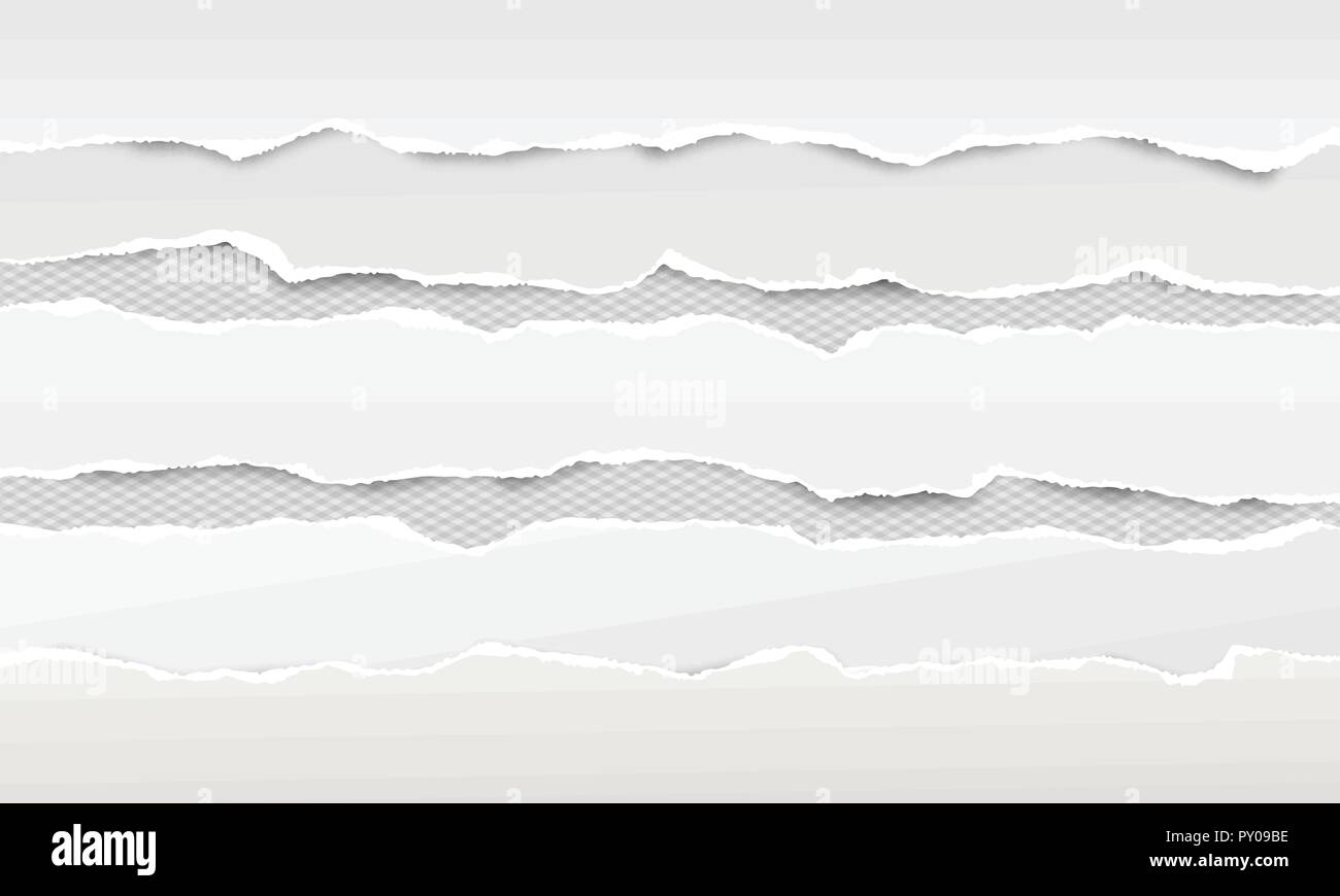 Set of white horizontal ripped paper strips, torn note paper for text ...