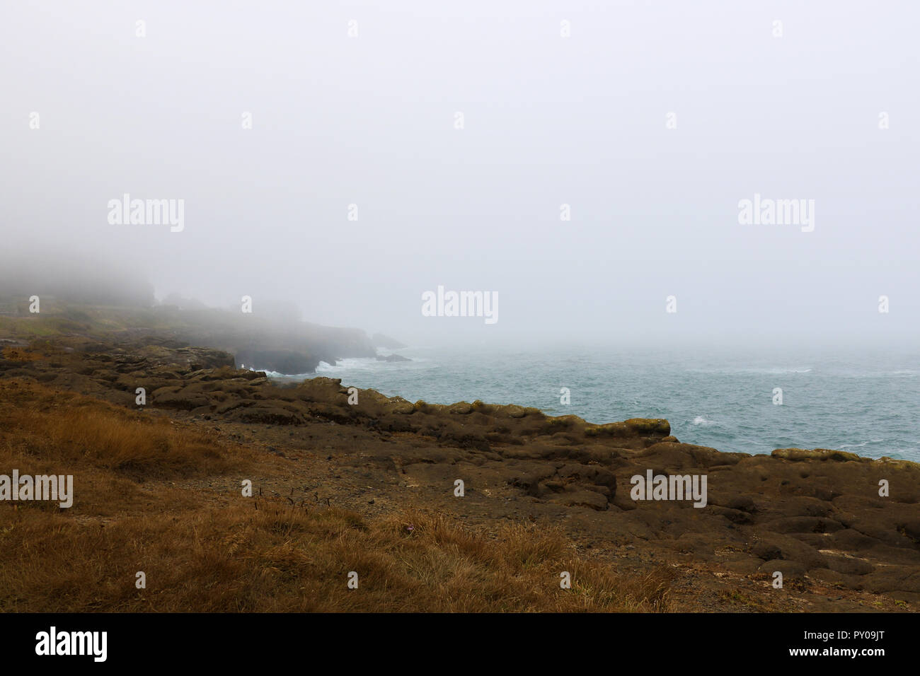 Beautiful Pacific Coast in a foggy morning, California. USA Stock Photo