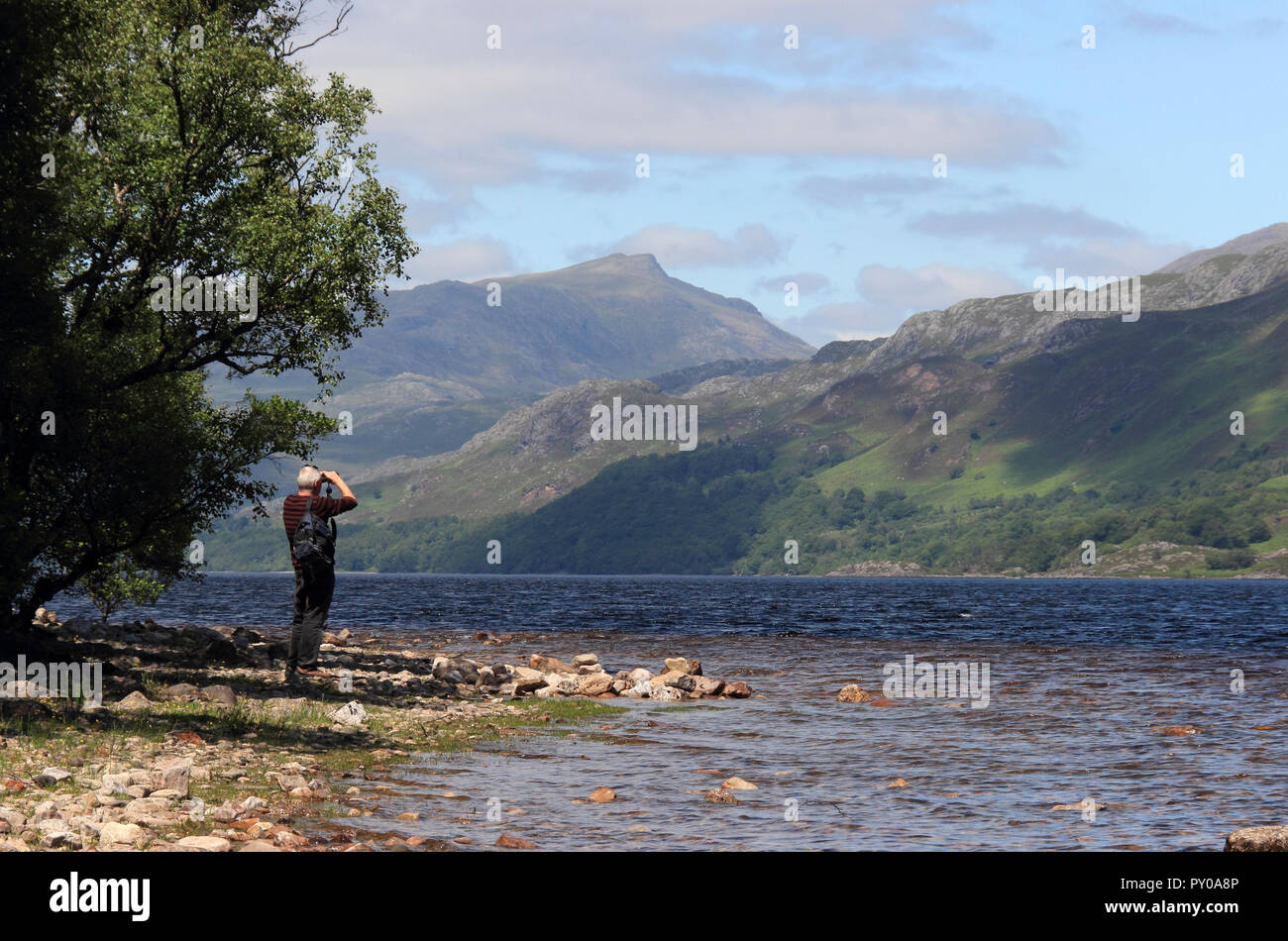 Loch Maree, Wester Ross, Scottish Highlands, Scotland, UK Stock Photo