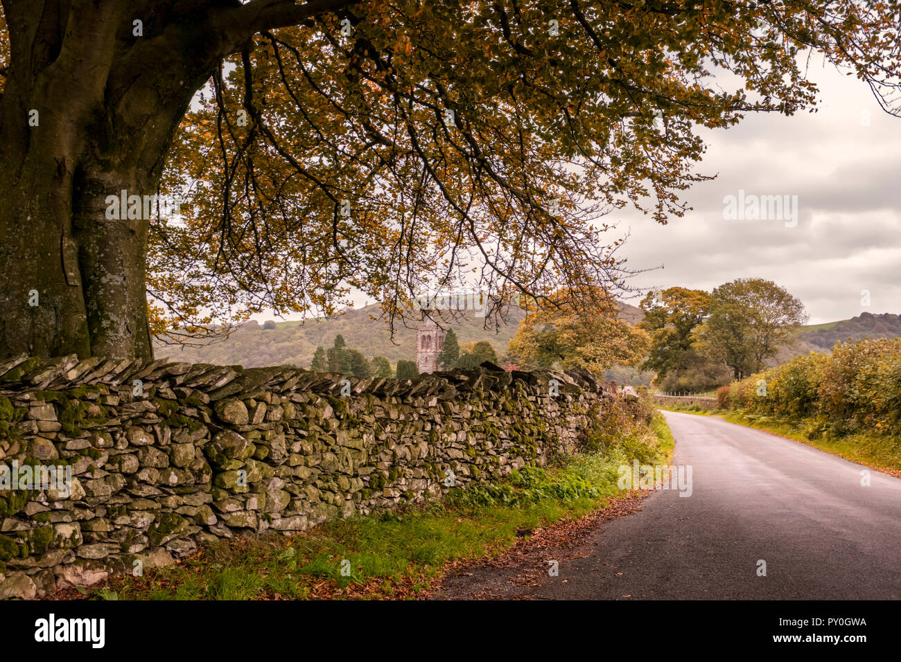 Autumn colours come to Lowick in the Crake Valley of the Lake District, Cumbria. Stock Photo