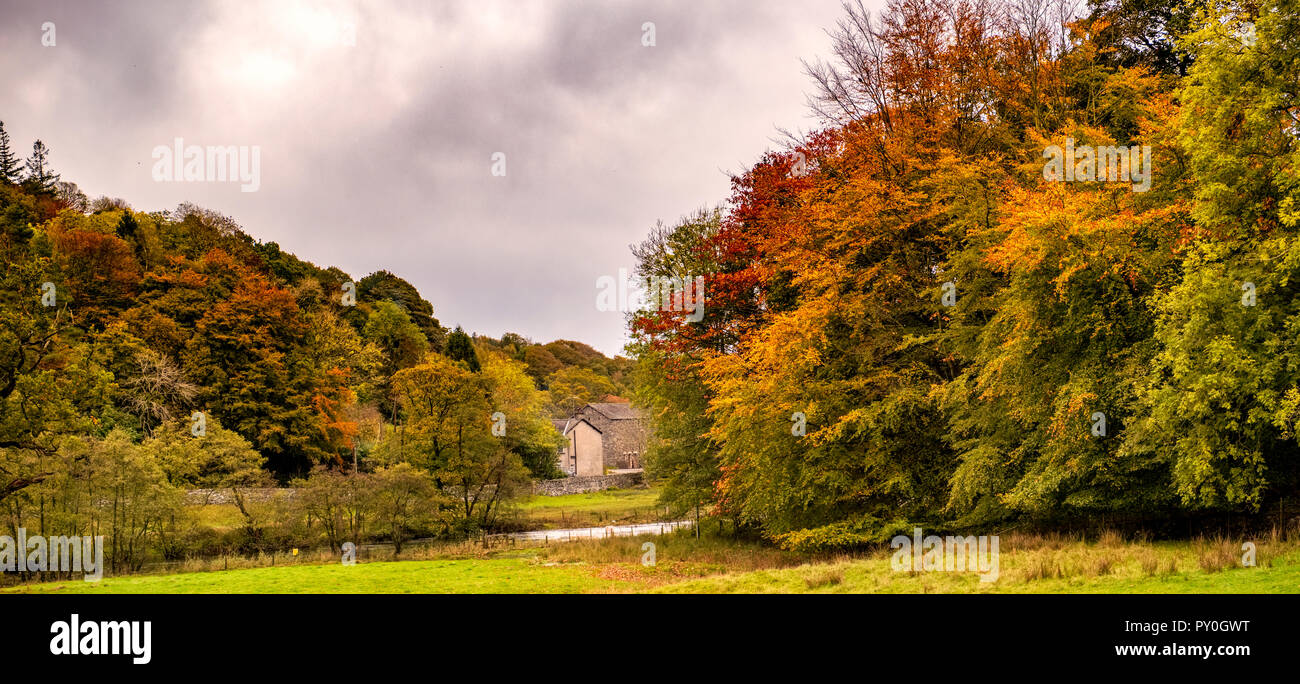 Autumn colours come to Penny Bridge in the South Lakes, Cumbria Stock