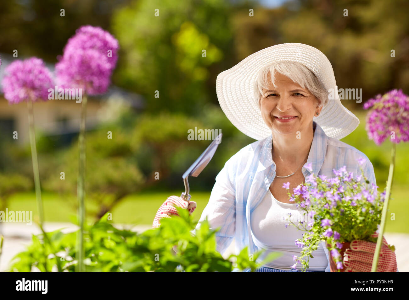 Mature woman gardening planting flowers hi-res stock photography and ...
