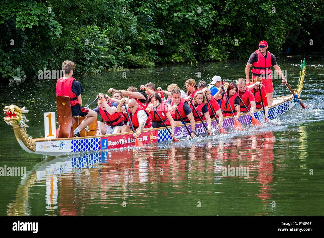 Dragon boat racing on the River Avon at Chippenham, Wiltshire, UK taken