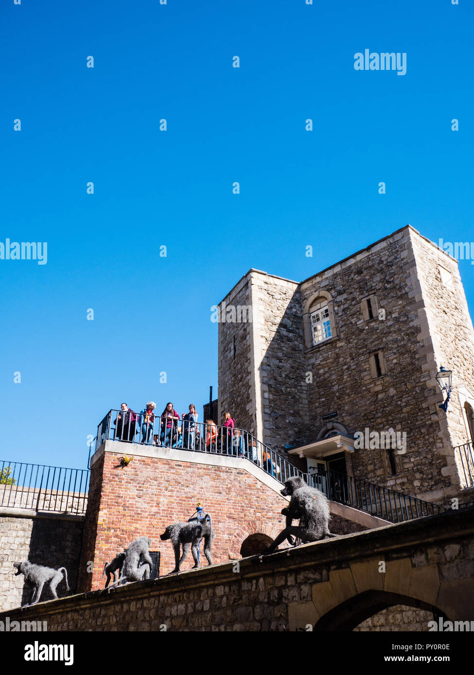 Tourists and Monkeys, at the Tower of London, England, UK, GB Stock