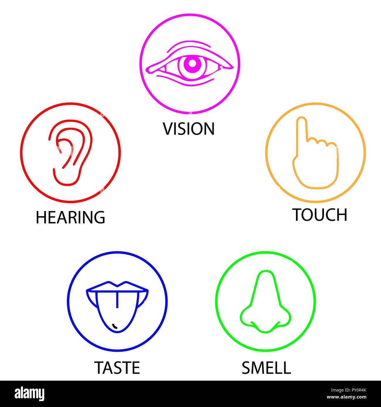 Set Of Five Human Senses Vision Hearing Touch Taste Smell Icon