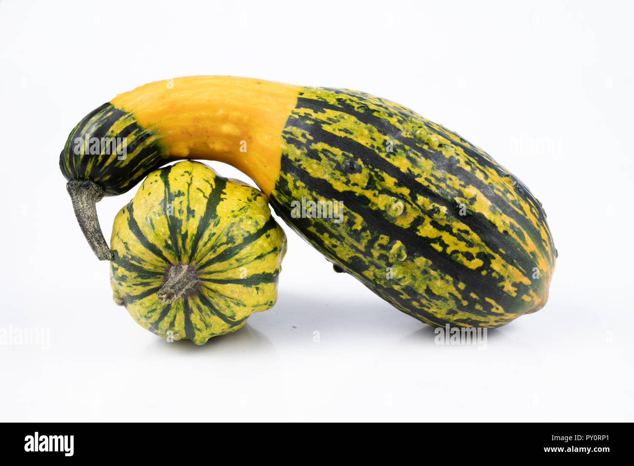 Decorative pumpkin on a white kitchen table. Fruit for halloween for decorations. Autumn background. Stock Photo