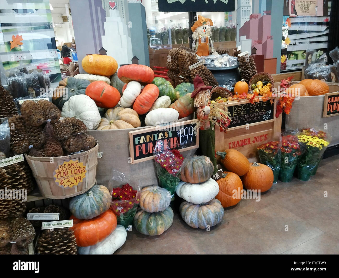 Pumpkin display in a Trader Joe's supermarket in New York on Sunday