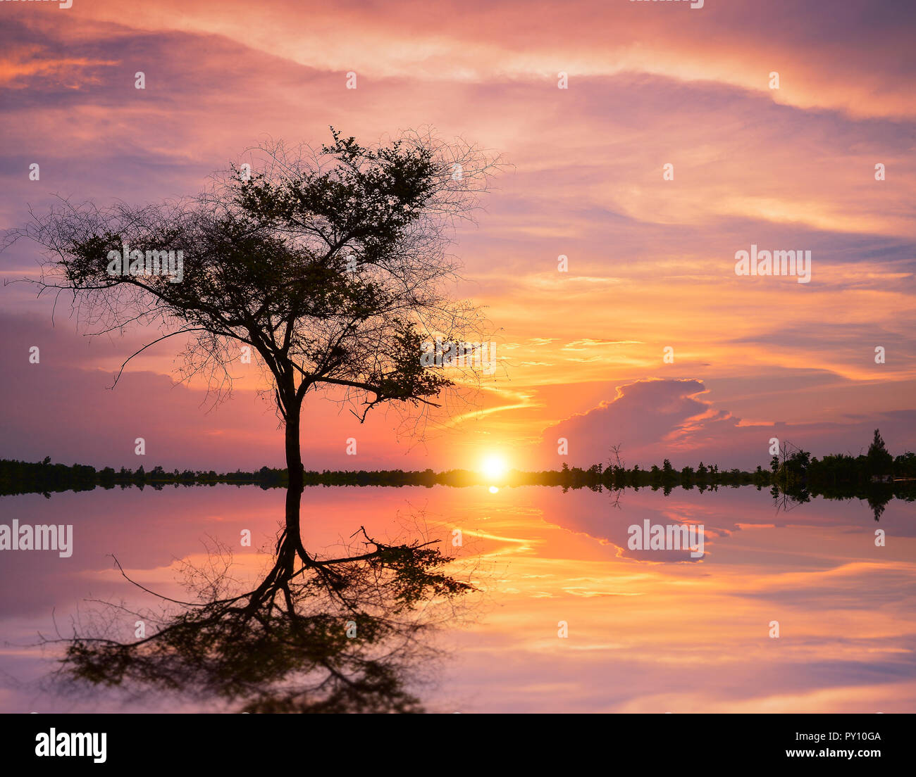 Rural landscape reflections at sunset, Thailand Stock Photo