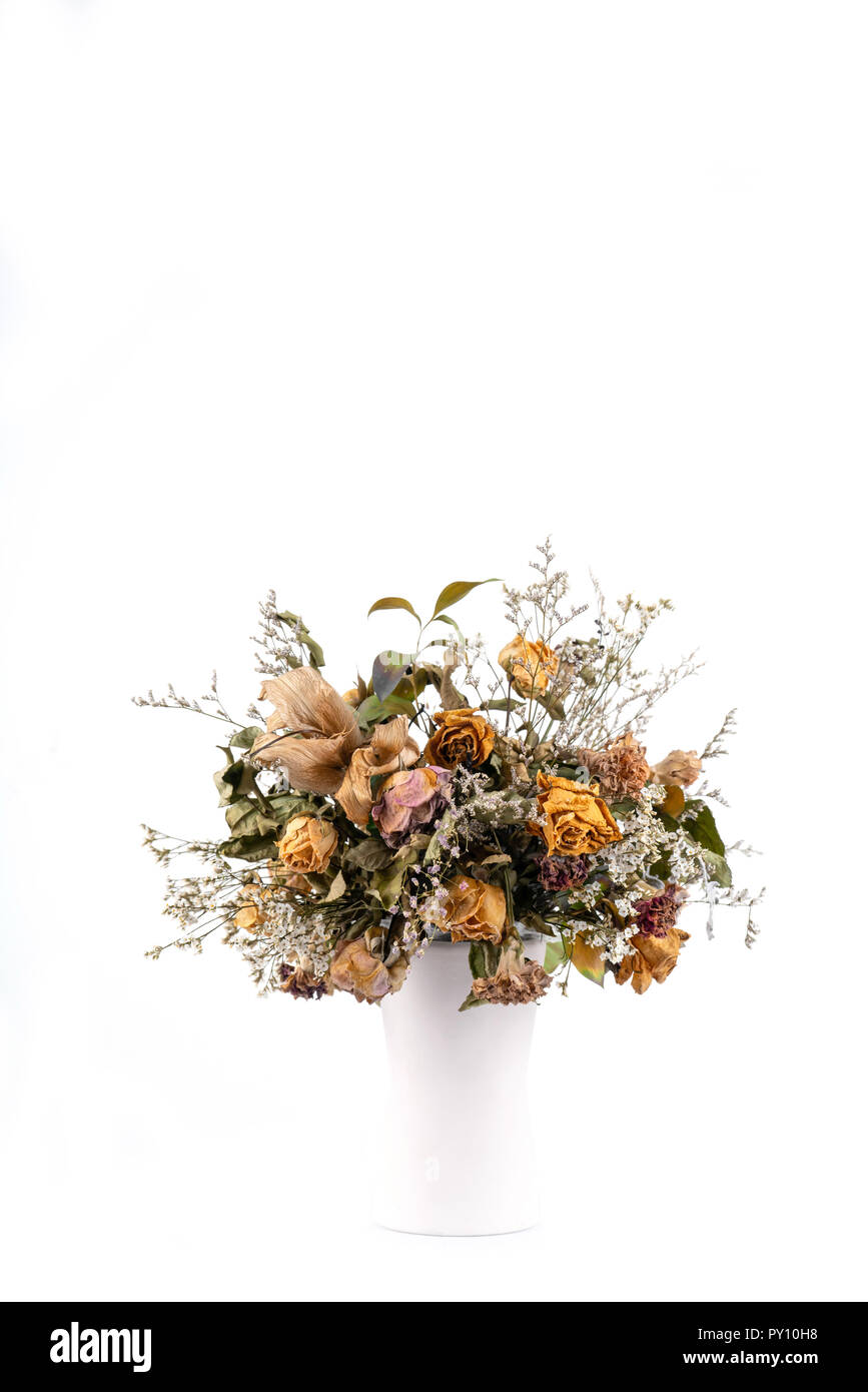 Dried flowers in vase hires stock photography and images Alamy