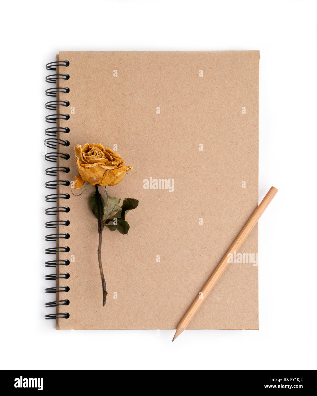 dried rose flower with pencil on notebook page Stock Photo Alamy