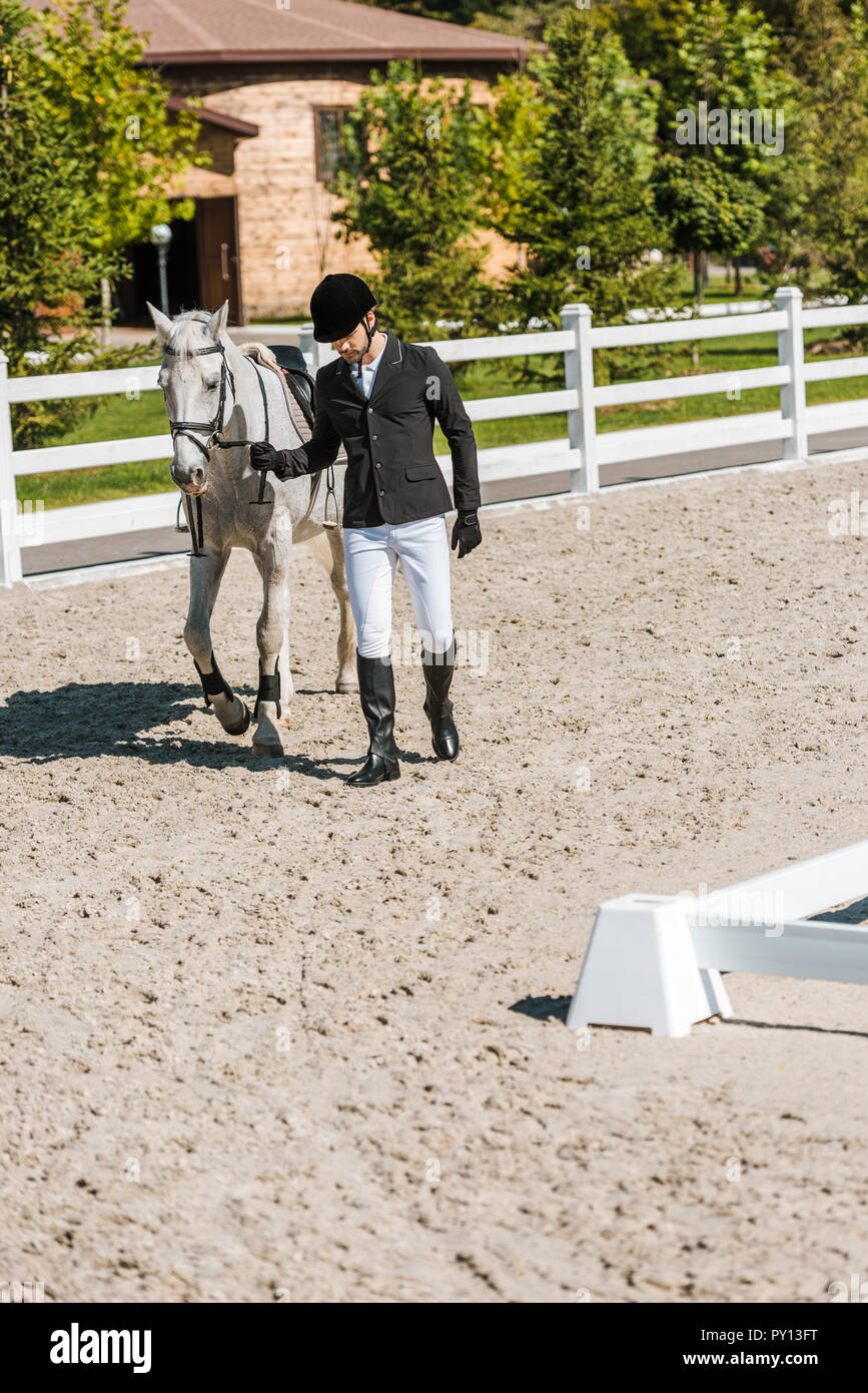 handsome male equestrian in professional apparel walking near horse at