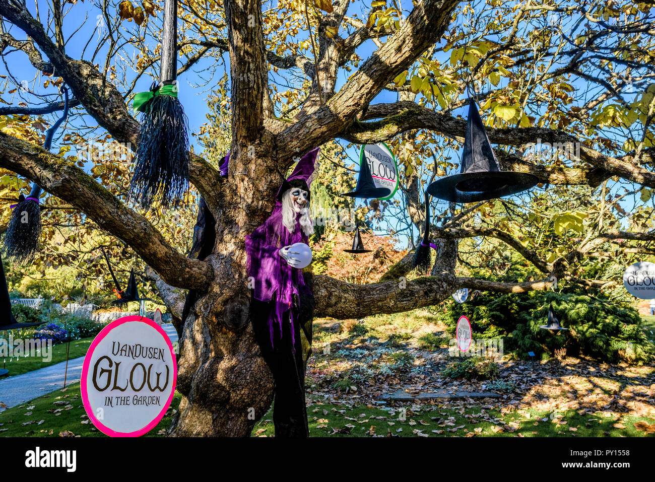 Halloween Glow in the Garden display, VanDusen Botanical Garden