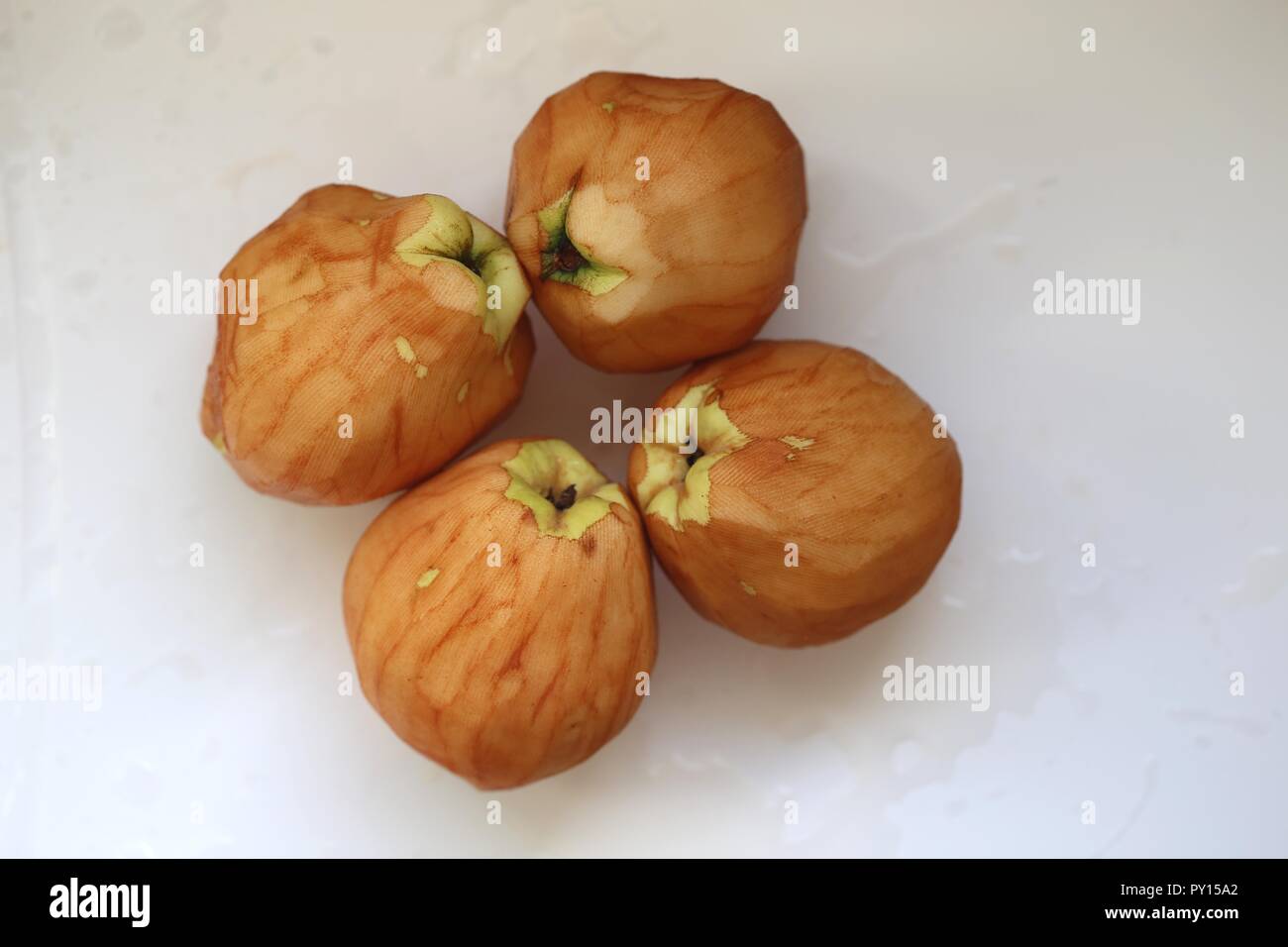 Four Peeled Quinces. Fresh peeled quinces getting oxidized before being cut and cooked for dessert. Stock Photo