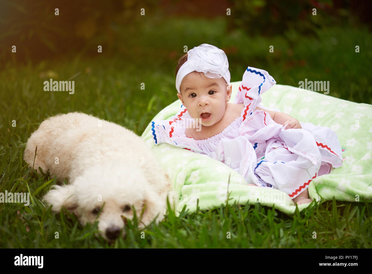 Small baby girl with white poodle dog sit on green grass background Stock Photo