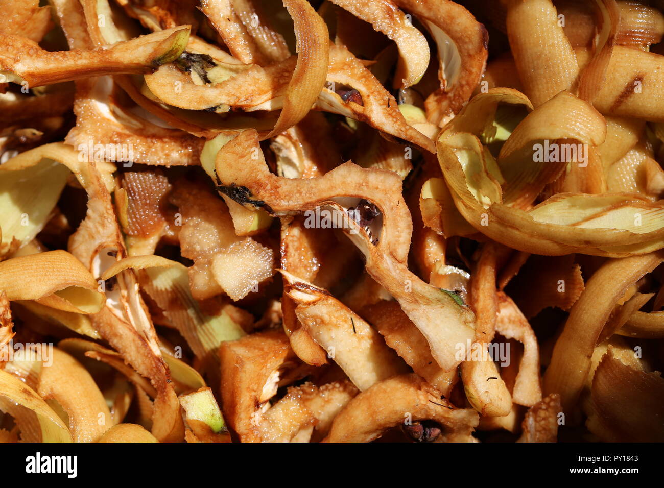 Peels of Quince. Remains of Quince. Pile of Quince's Kernels. Stock Photo