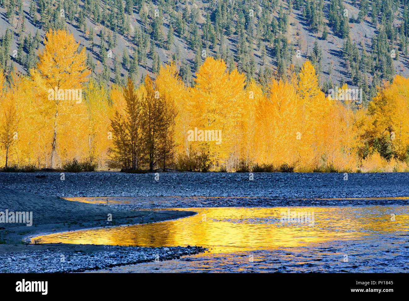 Fall colour, Similkameen River, near Princeton, British Columbia, Canada Stock Photo