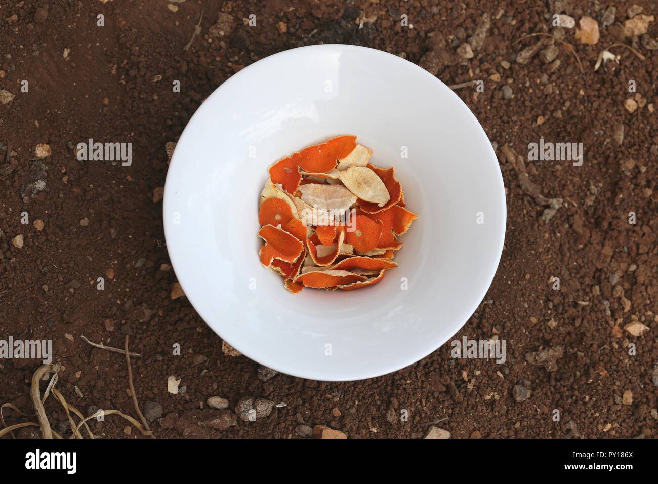 Tangerine Peels. Home Remedy. Dried clementine peels in white bowl on the ground. Homemade medicine, infusion of dried mandarin peels, herbal remedies Stock Photo