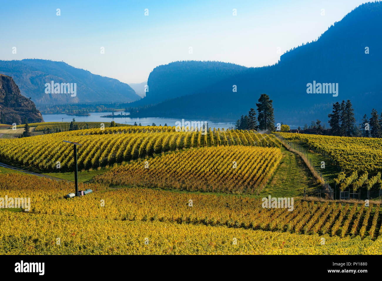 Blue Mountain Winery Vineyard, Okanagan Falls, British Columbia, Canada ...