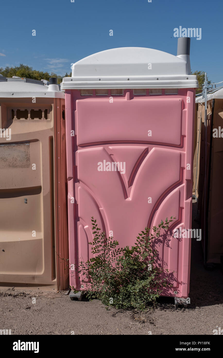 pink  potty Stock Photo