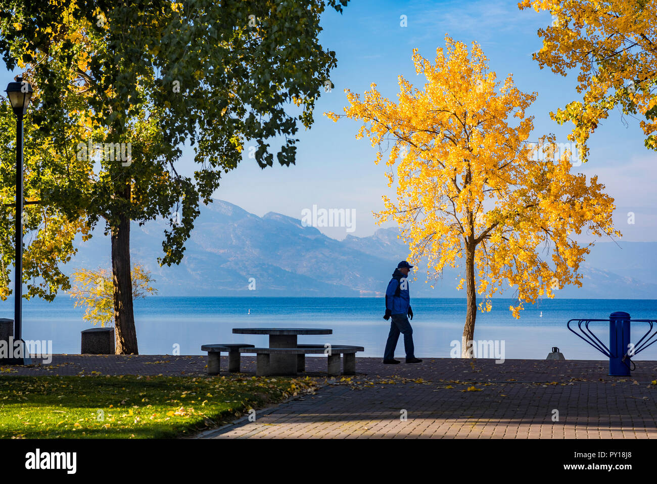 Fall colour, Boyce-Gyro Park, Kelowna, British Columbia, Canada Stock Photo