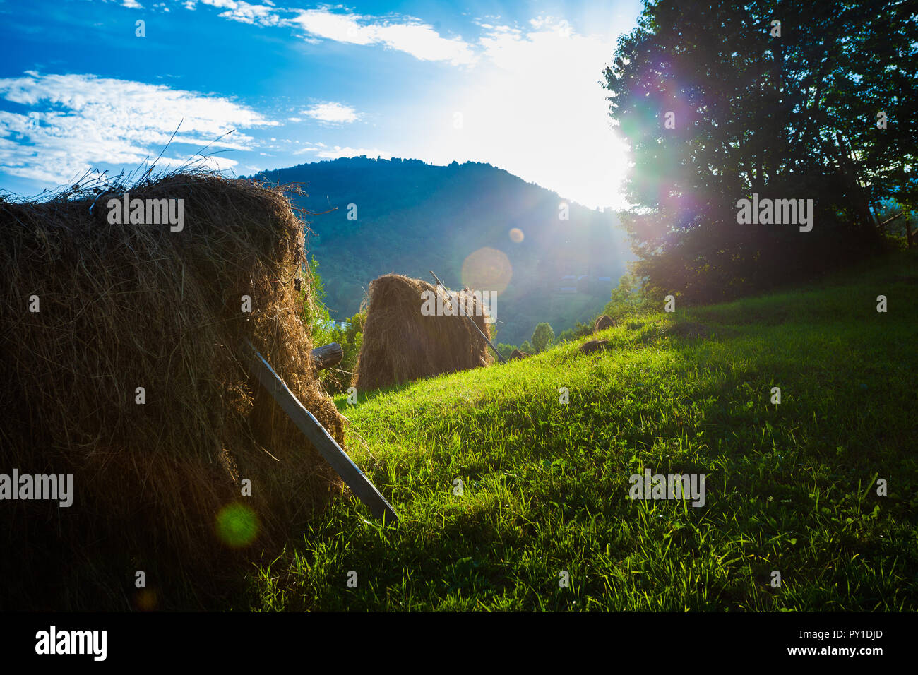 Rolling haystack hi-res stock photography and images - Alamy