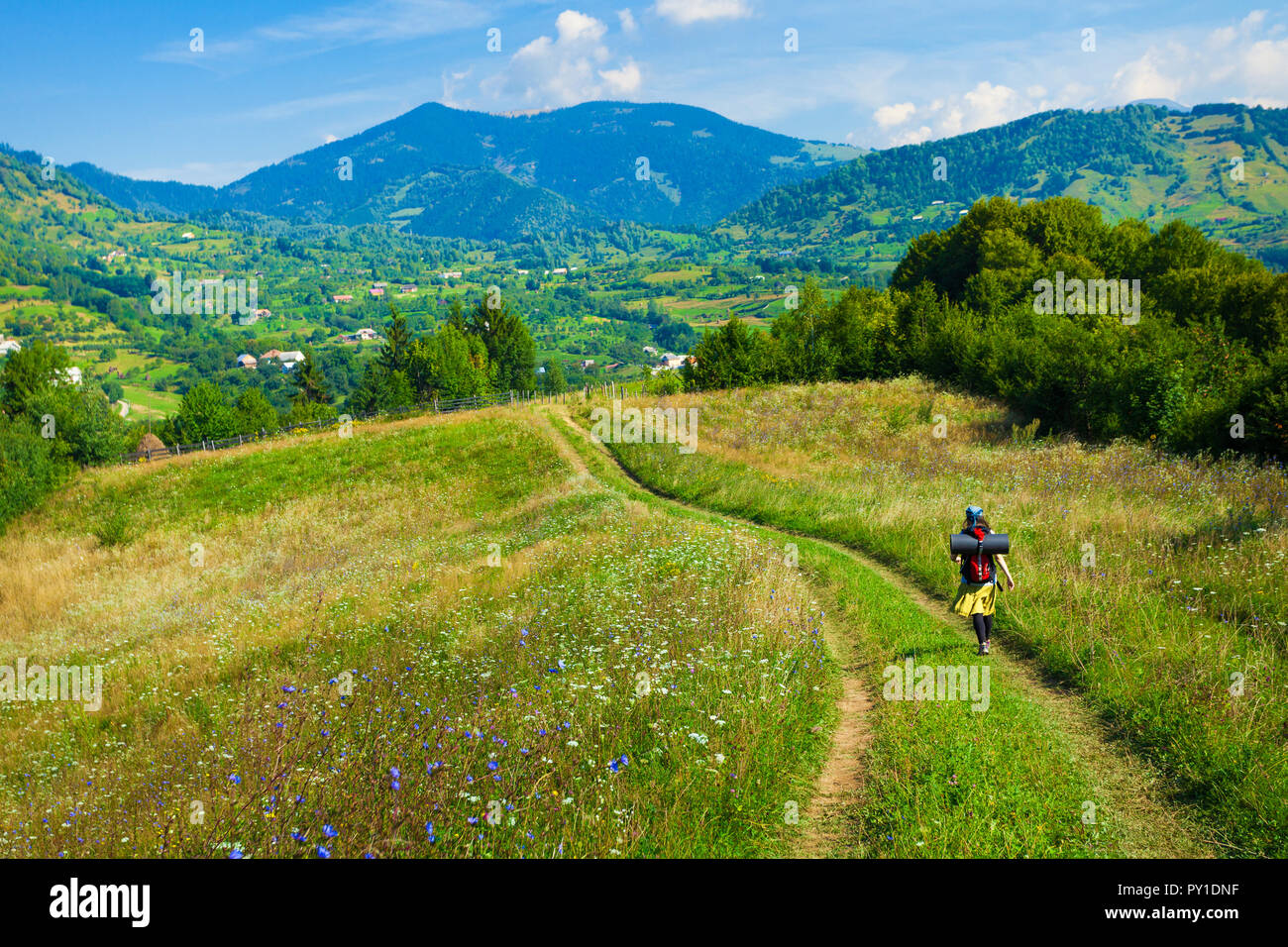 Tourist walking on winding path on the hills of Transylvania Stock Photo