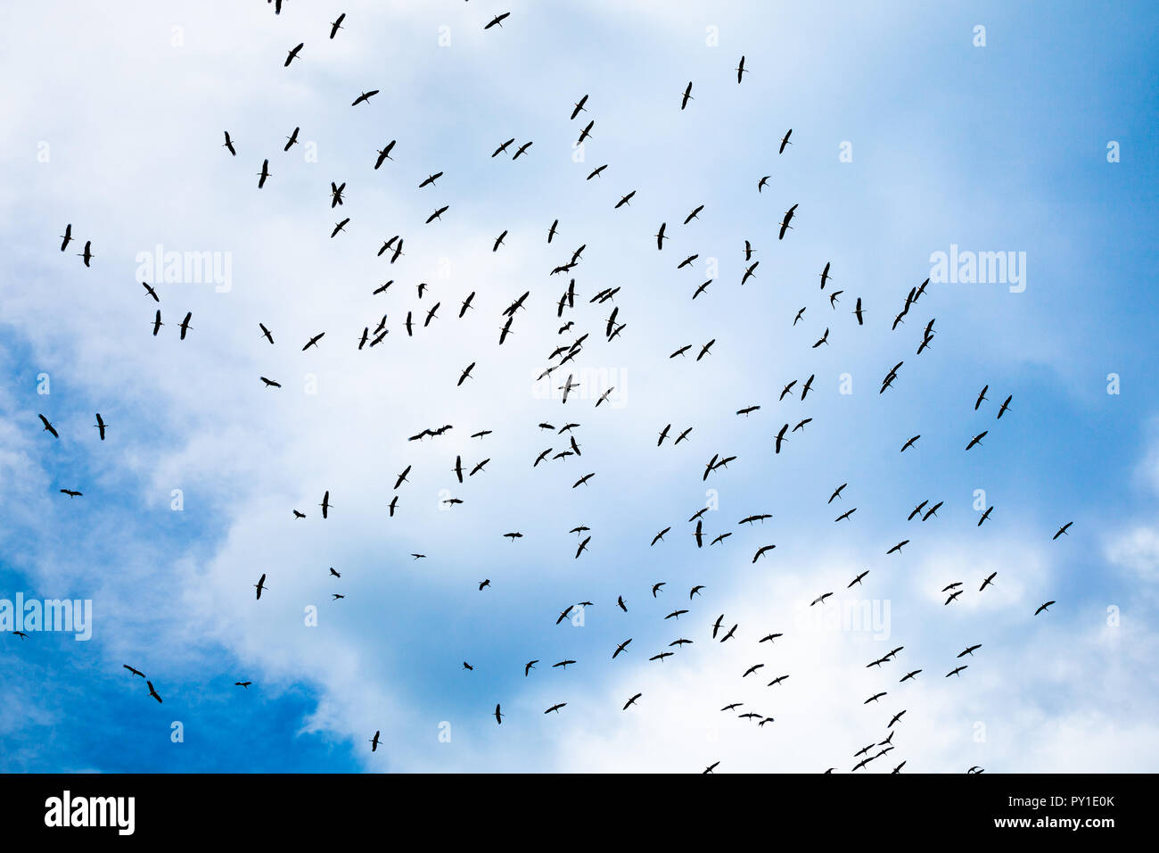 Clouds flying above mountains hi-res stock photography and images - Alamy