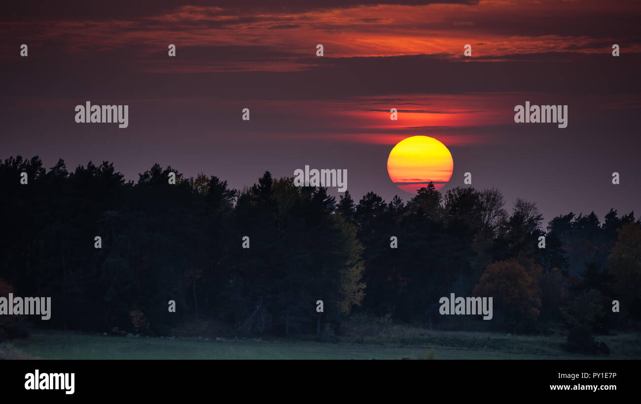 Amazing sunset at an hazy evening behind the forest in october, Uppland, Sweden Stock Photo