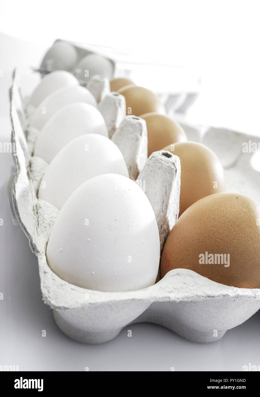 Eier in Eierkarton Stock Photo