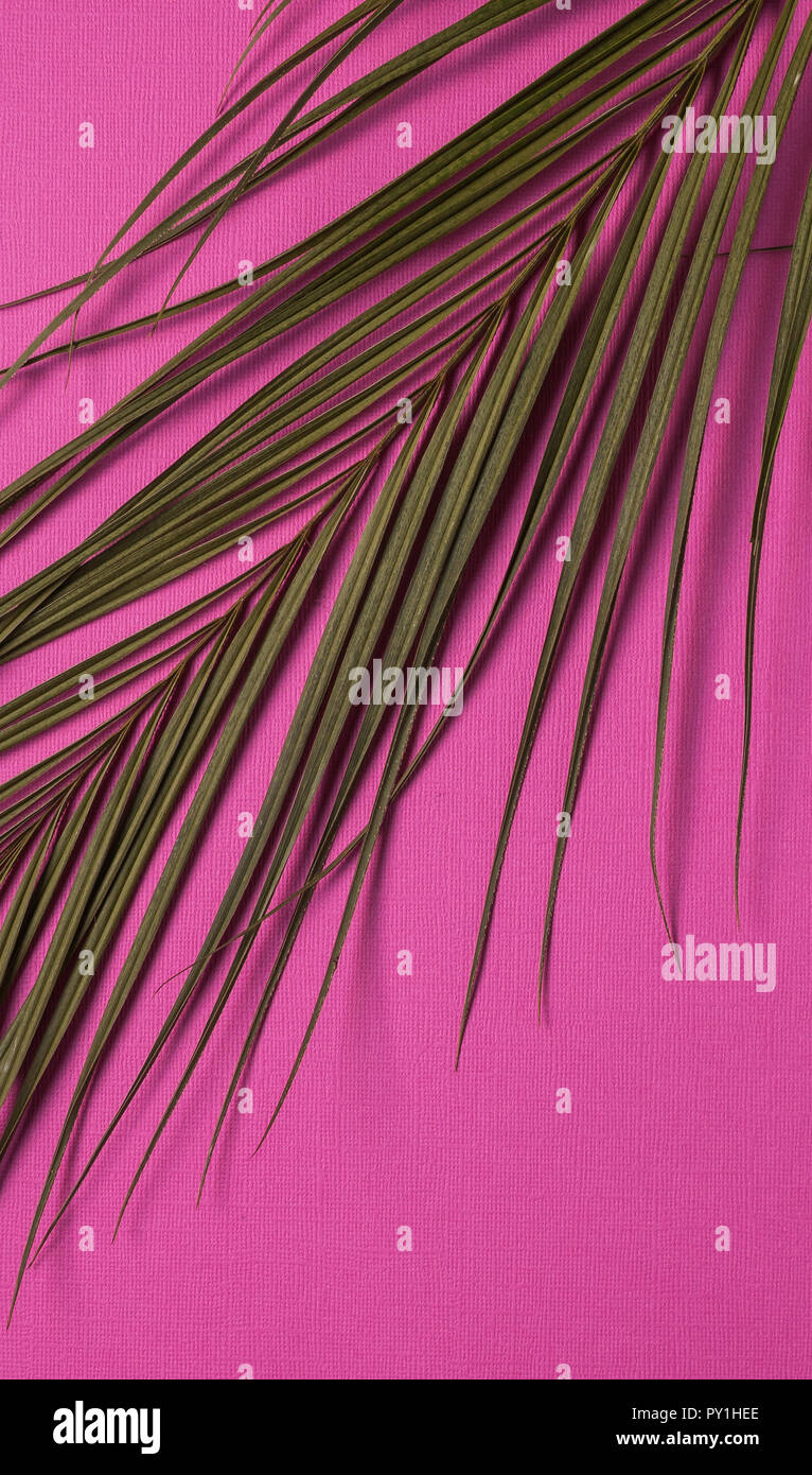 Minimalism Style Banner Branch Of Natural Plant Over Abstract