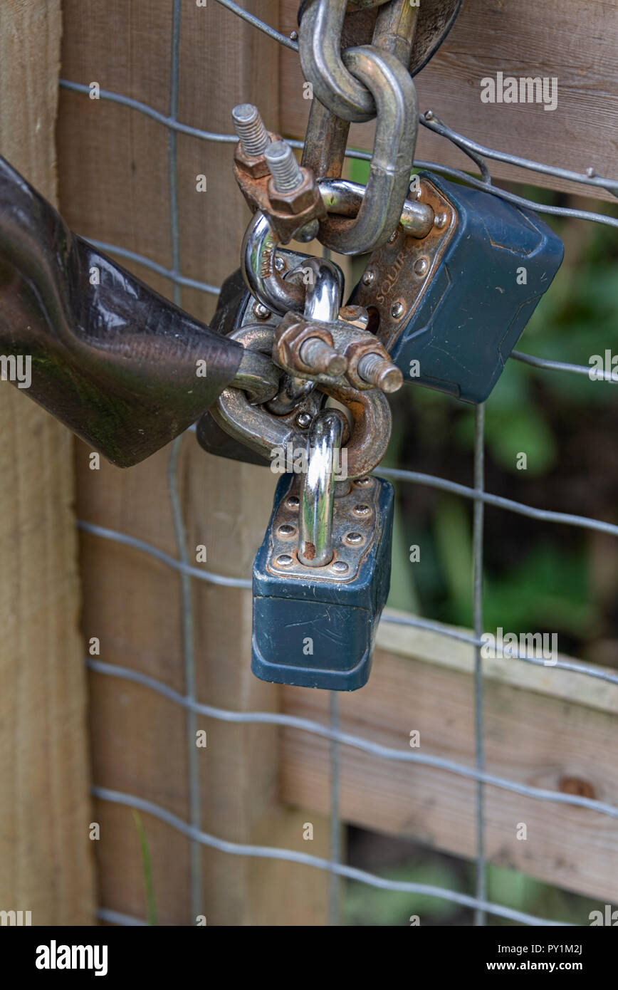 Padlocks and chains on wooden gate UK Stock Photo Alamy