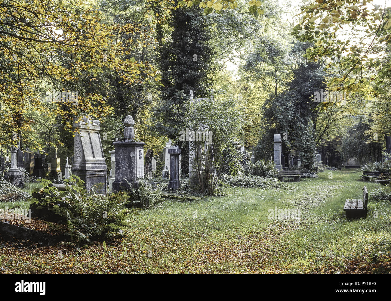 Friedhof im Herbst Stock Photo