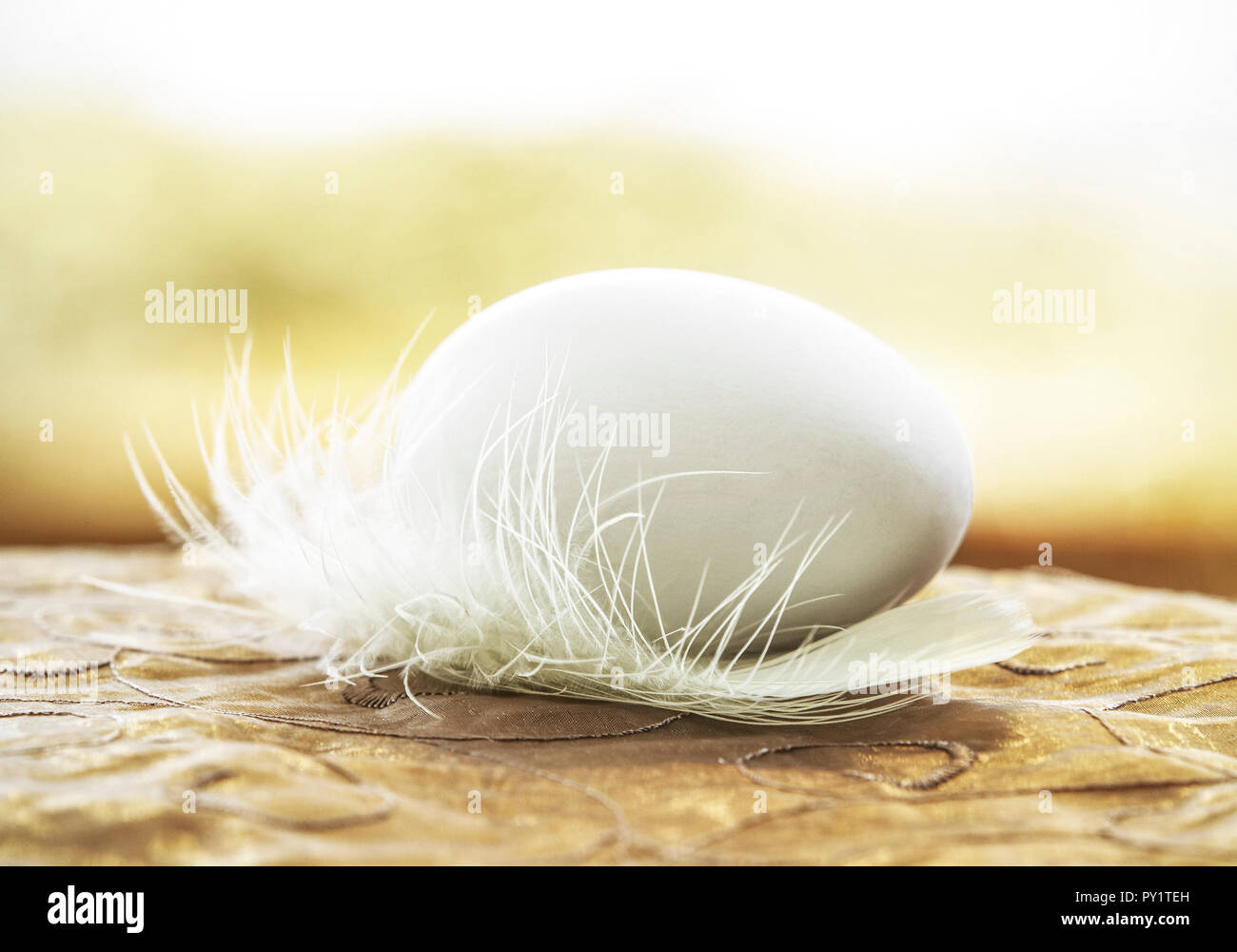 Ostern, weisses Ei auf Feder Stock Photo