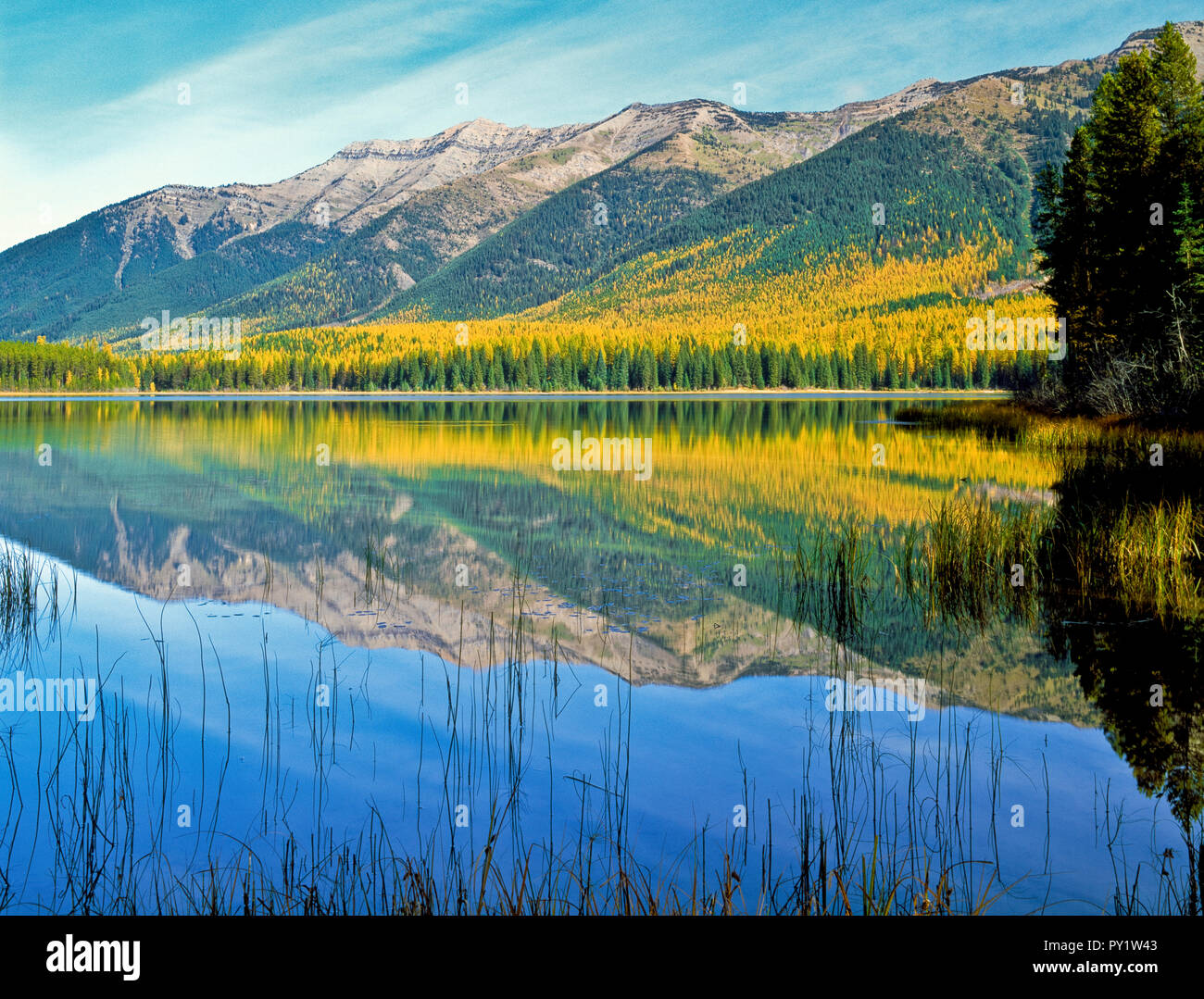 clearwater lake below autumn larch and the swan range near condon, montana Stock Photo