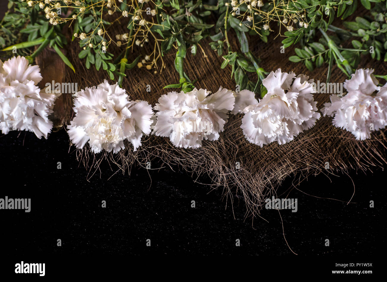 Border of white carnations with evergreen sprigs of boxwood on the