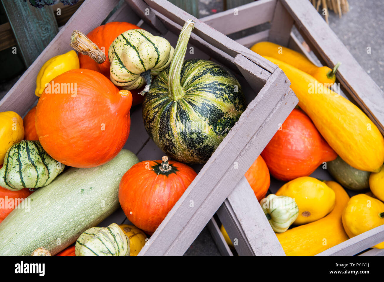 The multi-colored pumpkins lying on straw with a wooden box in a ...