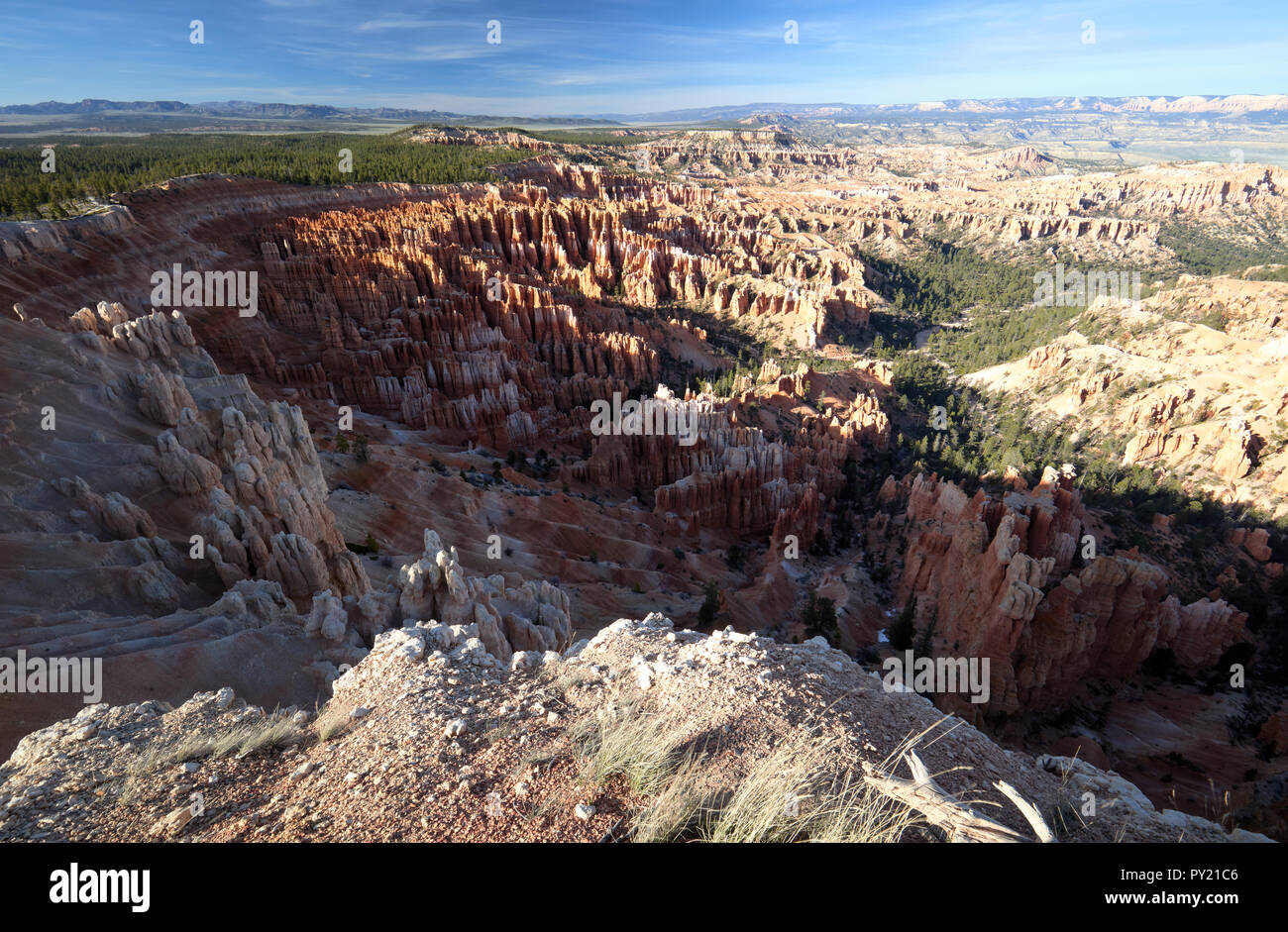 Scenic afternoon landscape view of the Bryce Canyon, Utah, USA Stock Photo