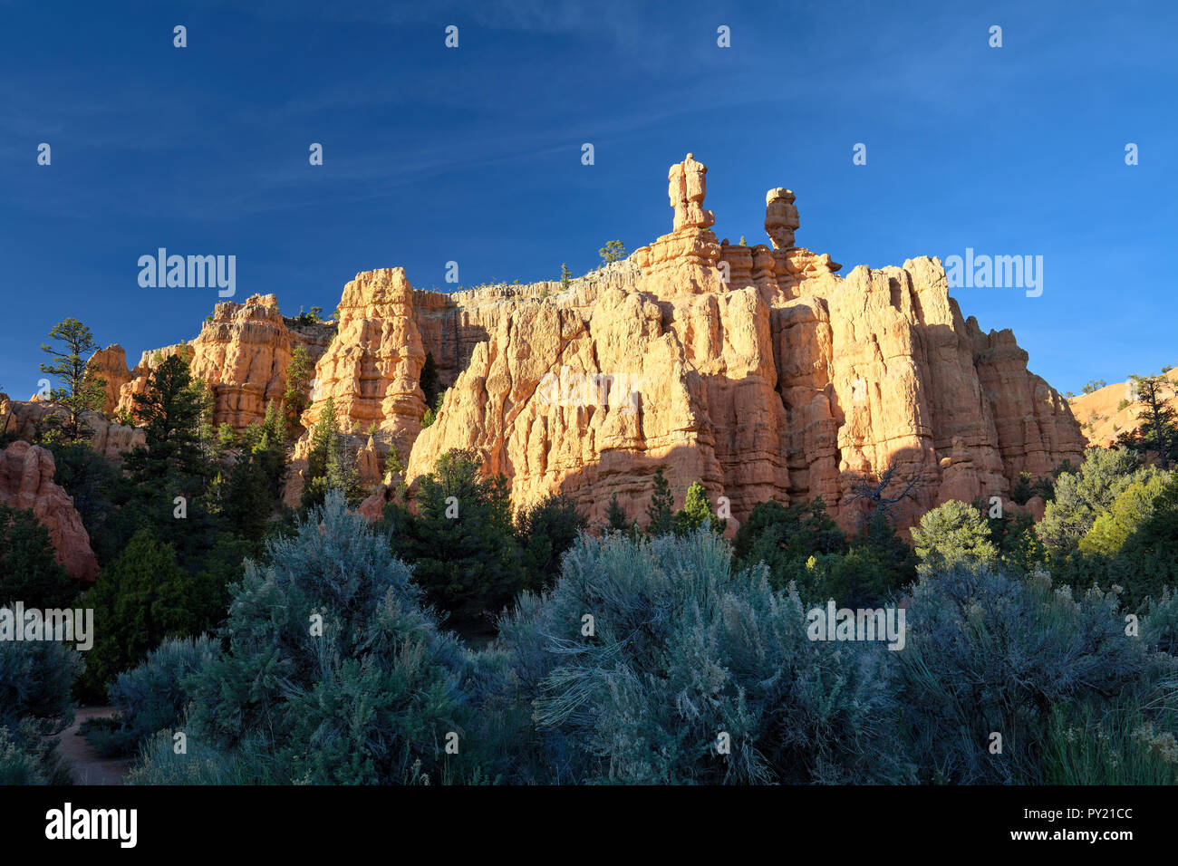 Sunlit rocks near Bryce Canyon, Utah, USA Stock Photo