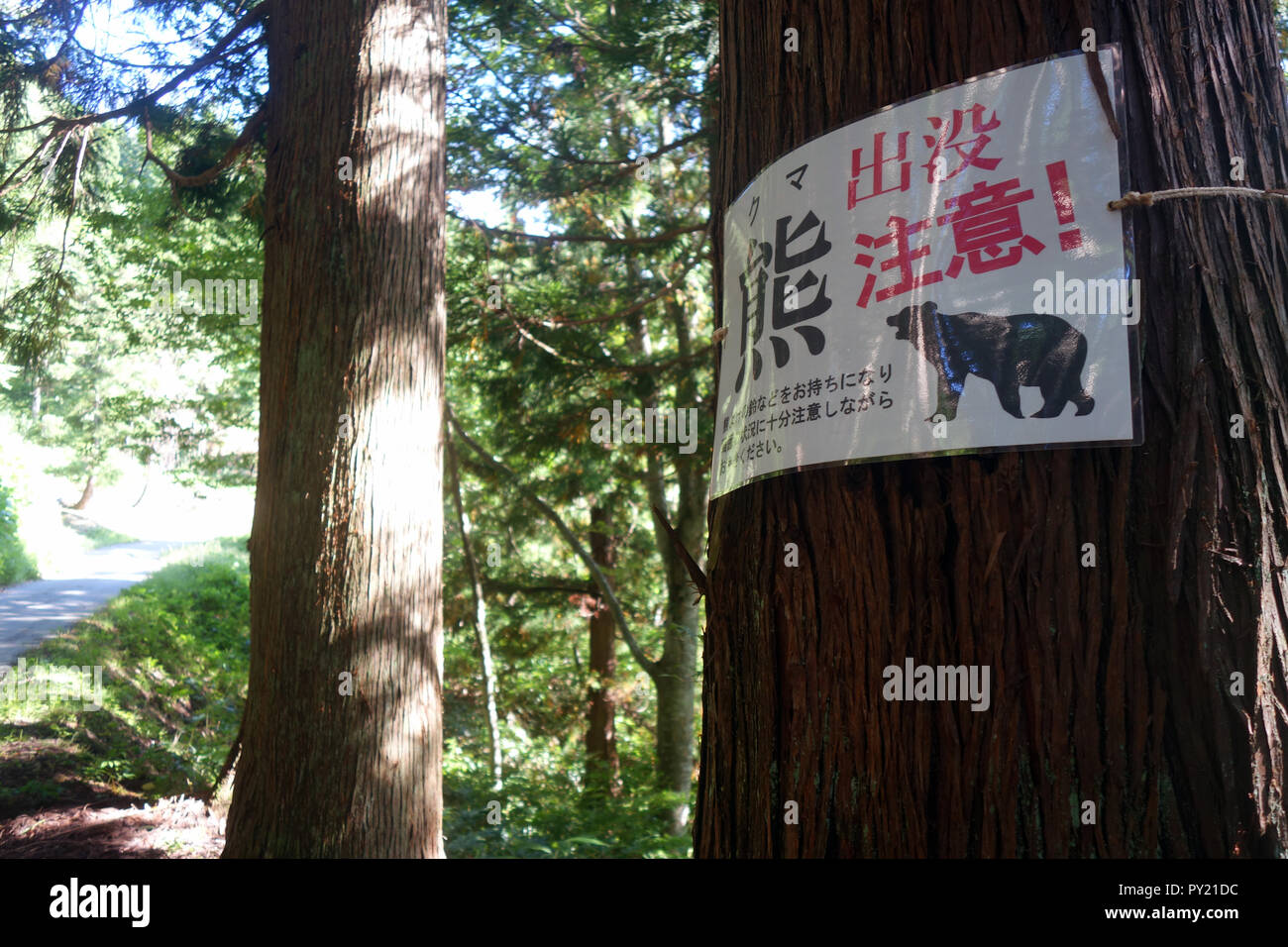 Sign warning of recent bear sighting on remote mountain road, Japanese Alps, Honshu, Japan. No PR Stock Photo