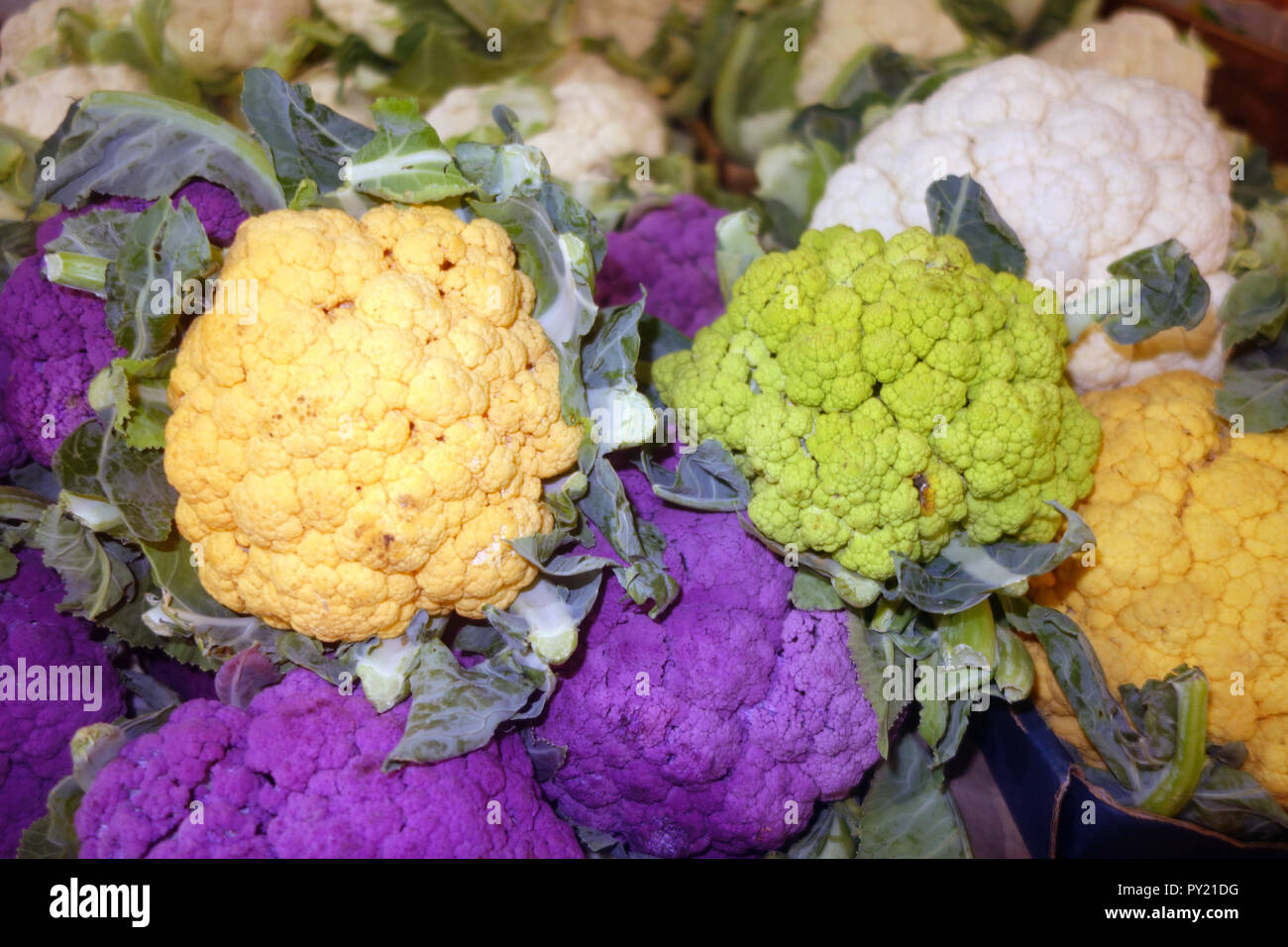 Different colour cauliflower varieties, Rusty's Markets, Cairns, Queensland, Australia Stock Photo