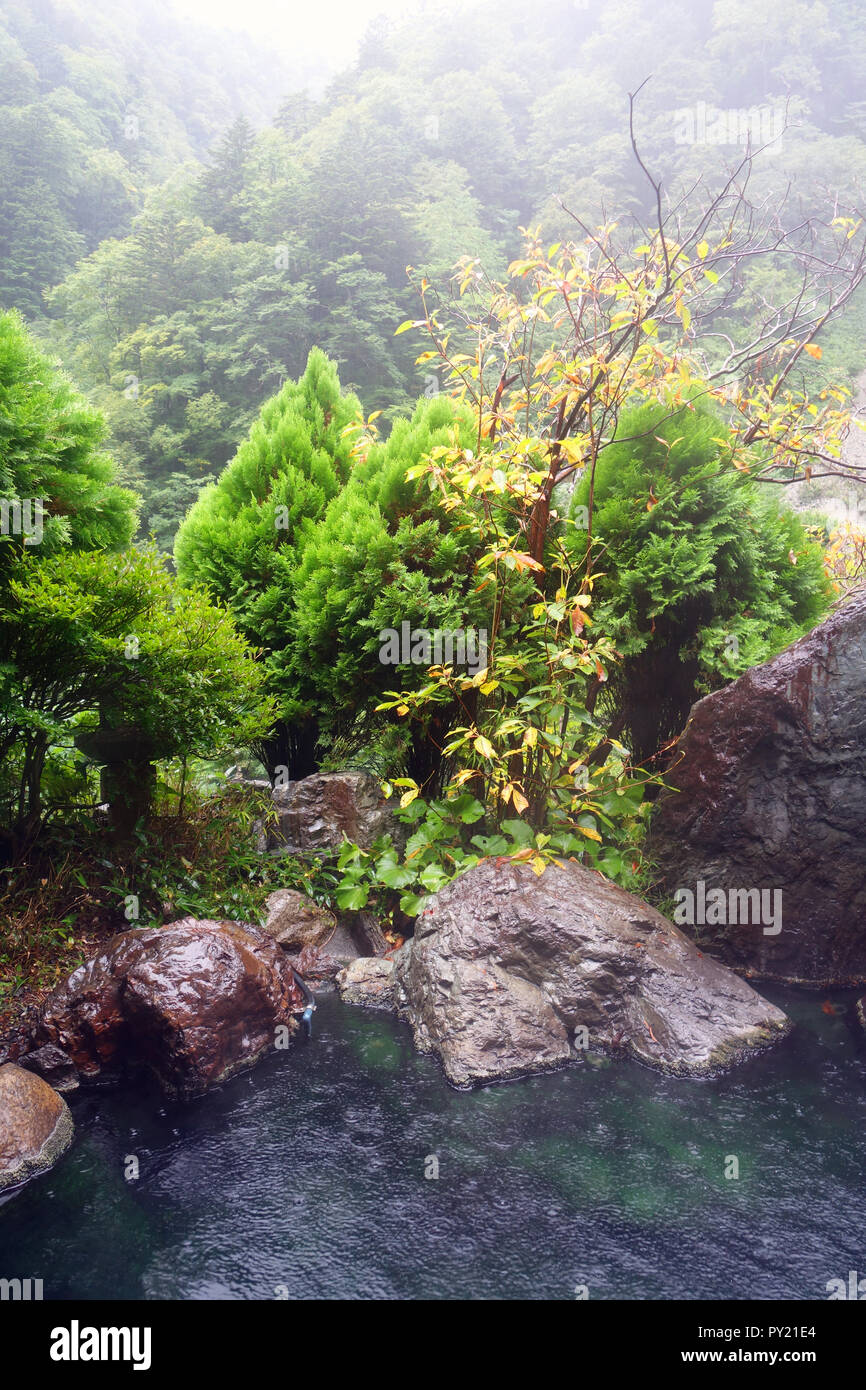 Japanese forest bath hires stock photography and images Alamy