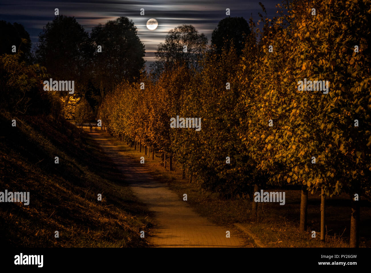 Chinese mid autumn festival graphic hi-res stock photography and images ...