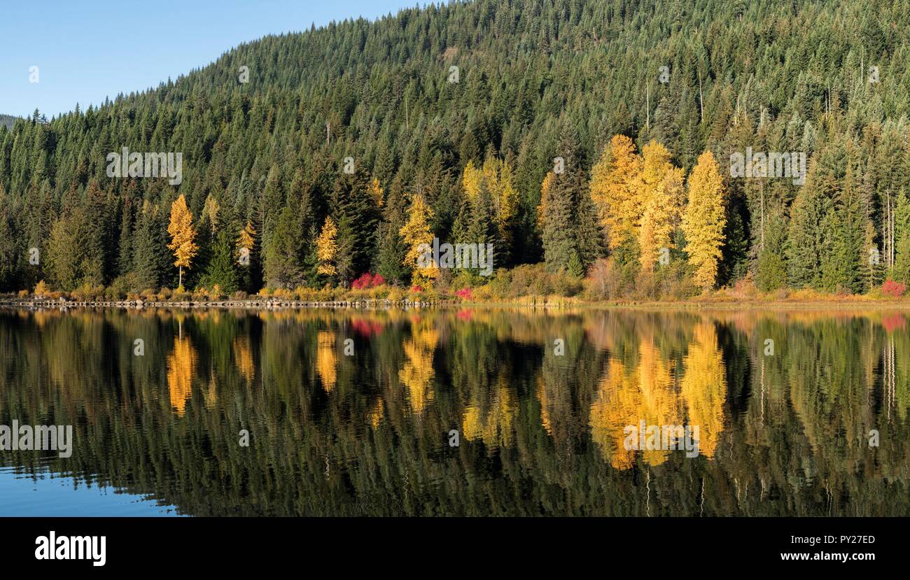 Colorful trees in autumn reflecting off of lake Stock Photo - Alamy